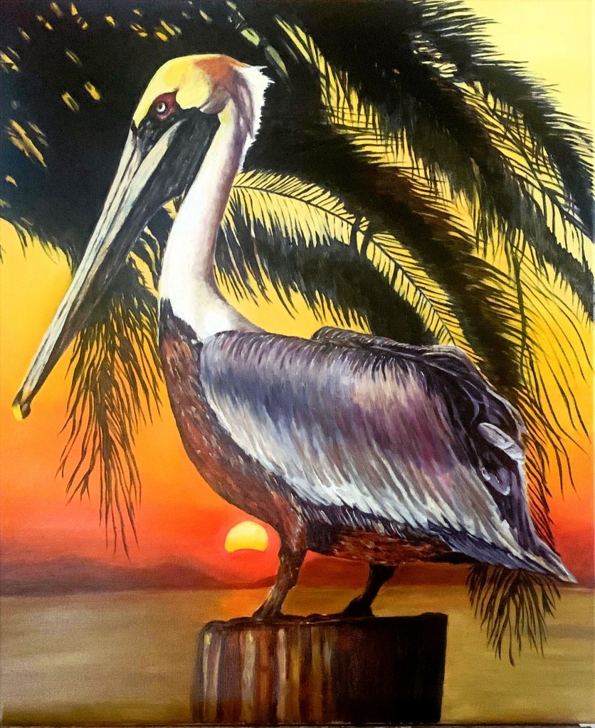 Sunset Pelican