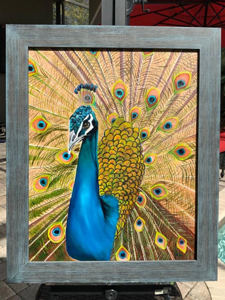 Proud Peacock