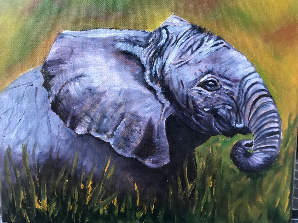 Elephant in Grass